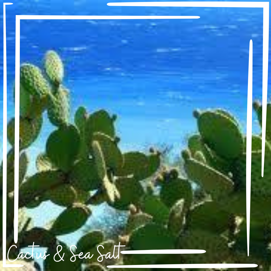 Cactus & Sea Salt