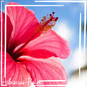 Hibiscus Palm