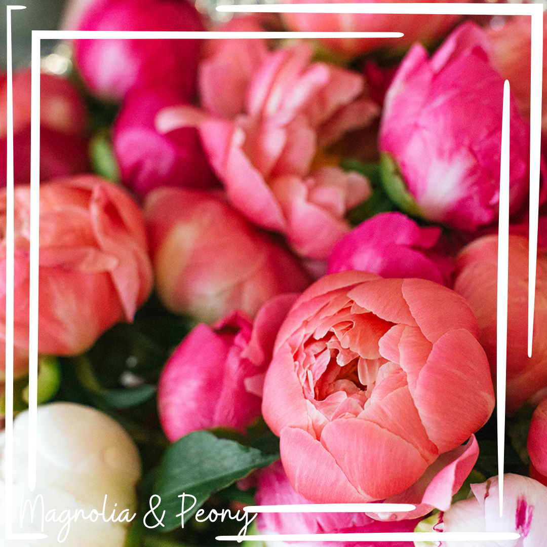 Magnolia & Peony