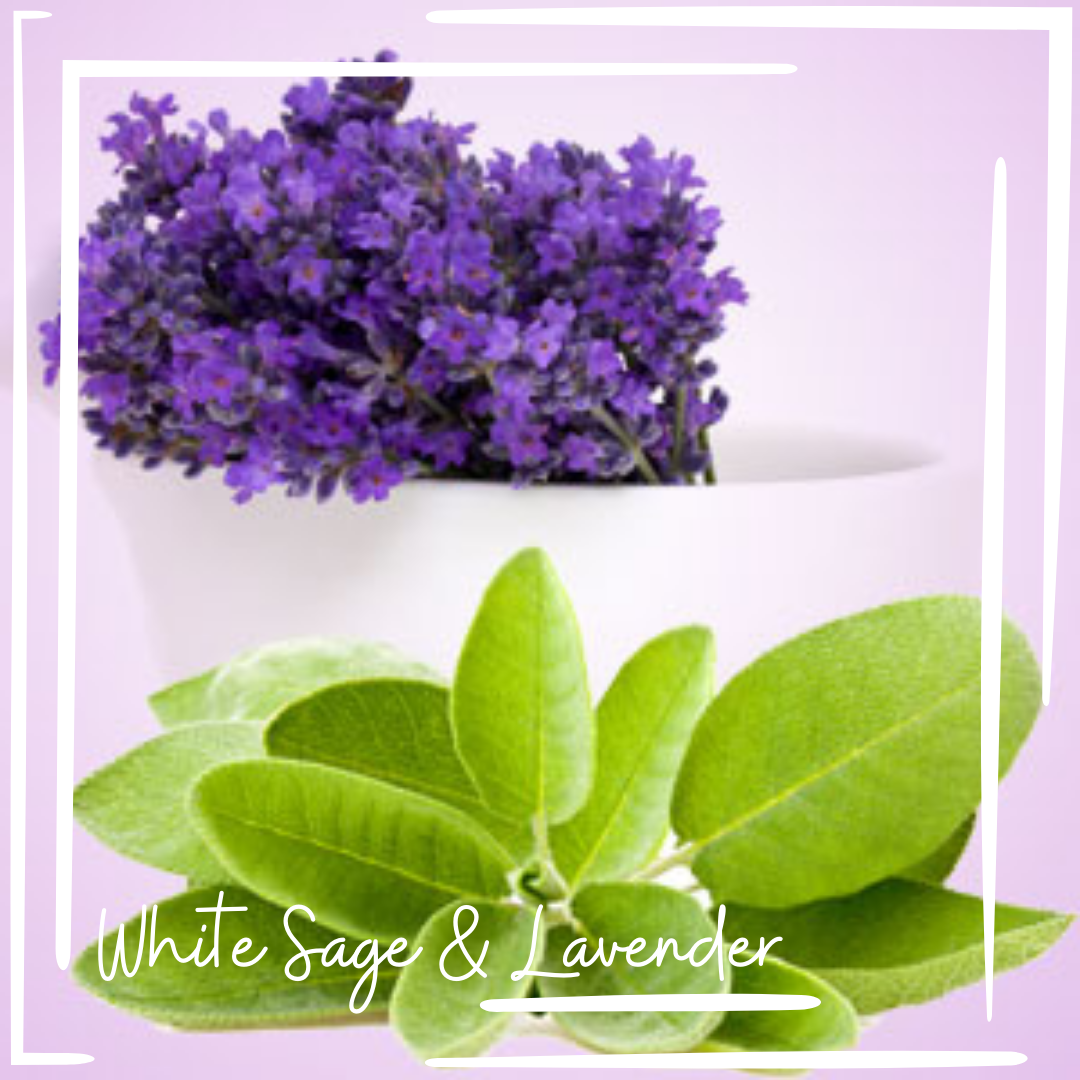 White Sage & Lavender